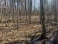 0 CALIFORNIA ROAD, Stone Mills (stone Mills), Ontario, K0K1Z0 (ID X13034840)