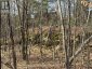 0 CALIFORNIA ROAD, Stone Mills (stone Mills), Ontario, K0K1Z0 (ID X13034840)