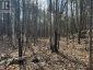 0 CALIFORNIA ROAD, Stone Mills (stone Mills), Ontario, K0K1Z0 (ID X13034840)