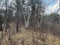 0 CALIFORNIA ROAD, Stone Mills (stone Mills), Ontario, K0K1Z0 (ID X13034840)