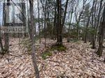 LOT 705 WOLFE TRAIL Tiny Ontario photo 2