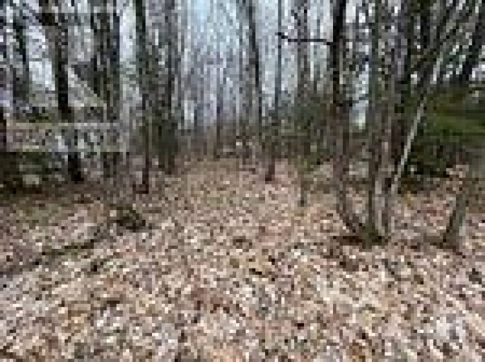 LOT 705 WOLFE TRAIL, Tiny, Ontario, L9M0H7