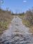 LOT 2 PETWORTH ROAD, Stone Mills (stone Mills), Ontario, L0L3N0 (ID X13039404)