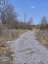 LOT 2 PETWORTH ROAD, Stone Mills (stone Mills), Ontario, L0L3N0 (ID X13039404)