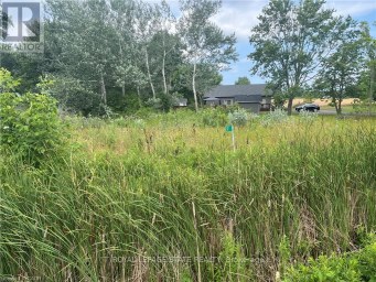 17 DICKHOUT ROAD Haldimand (Dunnville) Ontario photo 2