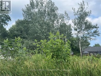 17 DICKHOUT ROAD Haldimand (Dunnville) Ontario photo 5