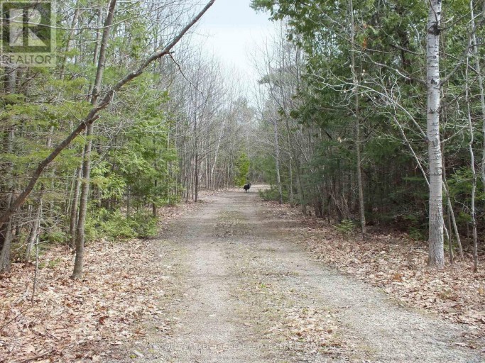 N/A DIAL ROAD N, Central Manitoulin, Ontario, P0P2C0