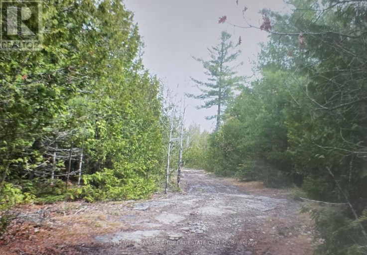 N/A DIAL ROAD N, Central Manitoulin, Ontario, P0P2C0
