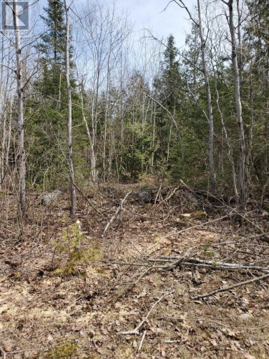 13476 HWY. 542 HIGHWAY, Gordon/Barrie Island, Ontario, P0P1H0