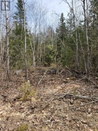 13476 HWY. 542 HIGHWAY Gordon/Barrie Island Ontario photo 1