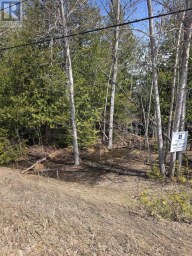 13476 HWY. 542 HIGHWAY Gordon/Barrie Island Ontario photo 3