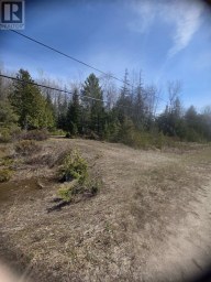 13476 HWY. 542 HIGHWAY Gordon/Barrie Island Ontario photo 6