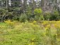 LOTS 93-95 EMPIRE STREET, Kearney, Ontario, P0A1M0 (ID X13046606)