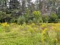 LOTS 93-95 EMPIRE STREET, Kearney, Ontario, P0A1M0 (ID X13046606)