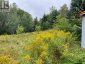 LOTS 93-95 EMPIRE STREET, Kearney, Ontario, P0A1M0 (ID X13046606)