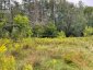 LOTS 93-95 EMPIRE STREET, Kearney, Ontario, P0A1M0 (ID X13046606)