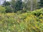 LOTS 93-95 EMPIRE STREET, Kearney, Ontario, P0A1M0 (ID X13046606)
