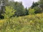 LOTS 93-95 EMPIRE STREET, Kearney, Ontario, P0A1M0 (ID X13046606)