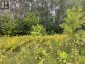 LOTS 93-95 EMPIRE STREET, Kearney, Ontario, P0A1M0 (ID X13046606)