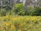 LOTS 93-95 EMPIRE STREET, Kearney, Ontario, P0A1M0 (ID X13046606)