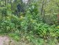 LOTS 93-95 EMPIRE STREET, Kearney, Ontario, P0A1M0 (ID X13046606)