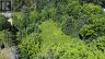 LOTS 93-95 EMPIRE STREET, Kearney, Ontario, P0A1M0 (ID X13046606)