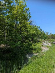 559 HONEY HARBOUR ROAD Georgian Bay (Baxter) Ontario photo 4