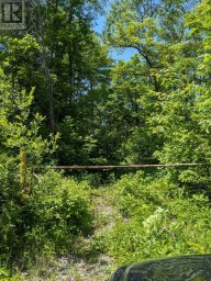 559 HONEY HARBOUR ROAD Georgian Bay (Baxter) Ontario photo 5