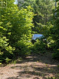 559 HONEY HARBOUR ROAD Georgian Bay (Baxter) Ontario photo 6
