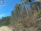 000 OPEONGO ROAD, Madawaska Valley, Ontario, K0J2N0 (ID X13050296)