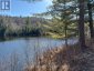 000 OPEONGO ROAD, Madawaska Valley, Ontario, K0J2N0 (ID X13050296)