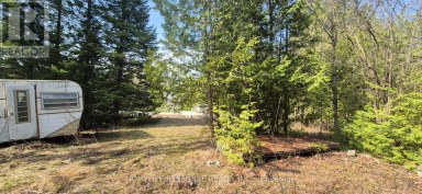48 WALDWEG Scugog Ontario photo 1
