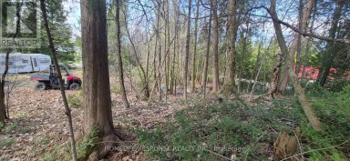 48 WALDWEG Scugog Ontario photo 2