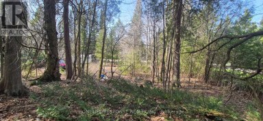 48 WALDWEG Scugog Ontario photo 3