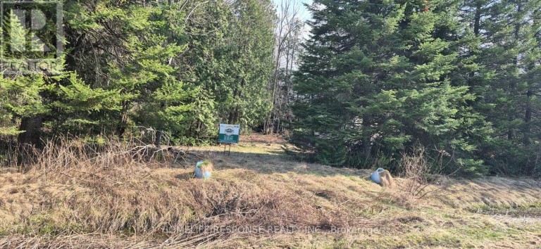 48 WALDWEG, Scugog, Ontario, L0B1B0
