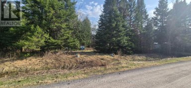 48 WALDWEG Scugog Ontario photo 6