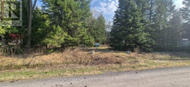 48 WALDWEG Scugog Ontario photo 7