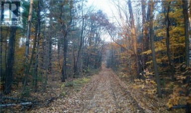 PL 20 CONCESSION 18 W Tiny Ontario photo 3