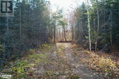 PL 20 CONCESSION 18 W Tiny Ontario photo 4