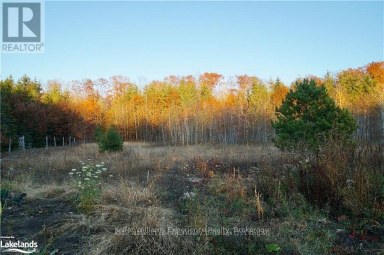 PL 20 CONCESSION 18 W Tiny Ontario photo 6