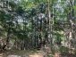 0 HAZARD HILL #2 ROAD, Kearney, Ontario, P0A1M0 (ID X13067002)