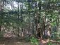 0 HAZARD HILL #2 ROAD, Kearney, Ontario, P0A1M0 (ID X13067002)