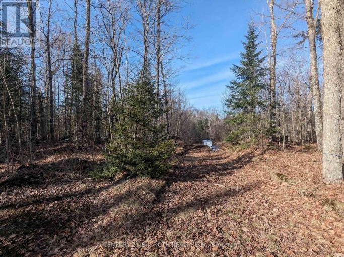 11146 HIGHWAY 118, Algonquin Highlands (Stanhope), Ontario, K0M1J1