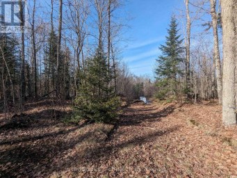 11146 HIGHWAY 118 Algonquin Highlands (Stanhope) Ontario photo 1