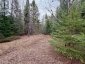 00 HIGHWAY 522 HIGHWAY W, Parry Sound Remote Area (mcconkey), Ontario, P0H1S0 (ID X13073814)