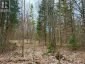 00 HIGHWAY 522 HIGHWAY W, Parry Sound Remote Area (mcconkey), Ontario, P0H1S0 (ID X13073814)