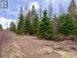 00 HIGHWAY 522 HIGHWAY W, Parry Sound Remote Area (mcconkey), Ontario, P0H1S0 (ID X13073814)