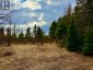 00 HIGHWAY 522 HIGHWAY W, Parry Sound Remote Area (mcconkey), Ontario, P0H1S0 (ID X13073814)