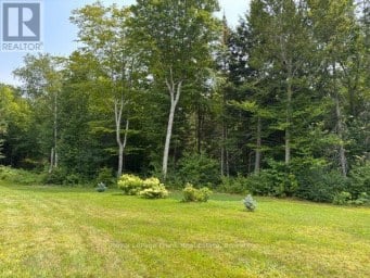 989 NORTH MCKENZIE LAKE ROAD South Algonquin Ontario photo 33