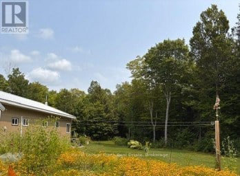 989 NORTH MCKENZIE LAKE ROAD South Algonquin Ontario photo 38